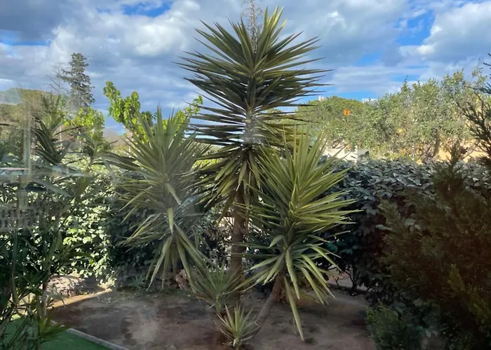 Paradis Du Soleil-plage De La Roquille - 4 Personnes- Clim-parking Agde